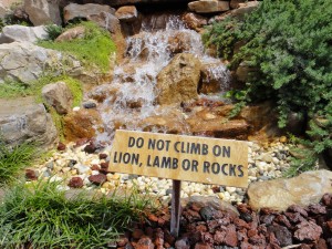 Don't Climb on Lion